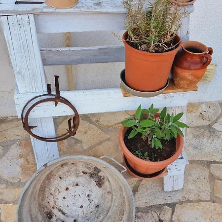 Casa Nonna Concetta * Surano